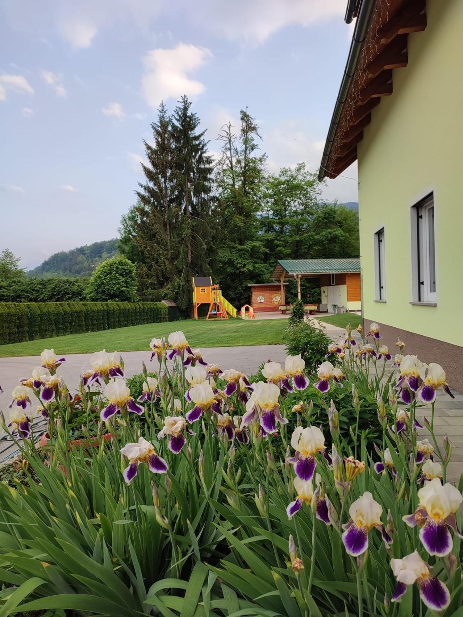 Apartments And Wellness Jelovca Radovljica Exterior photo