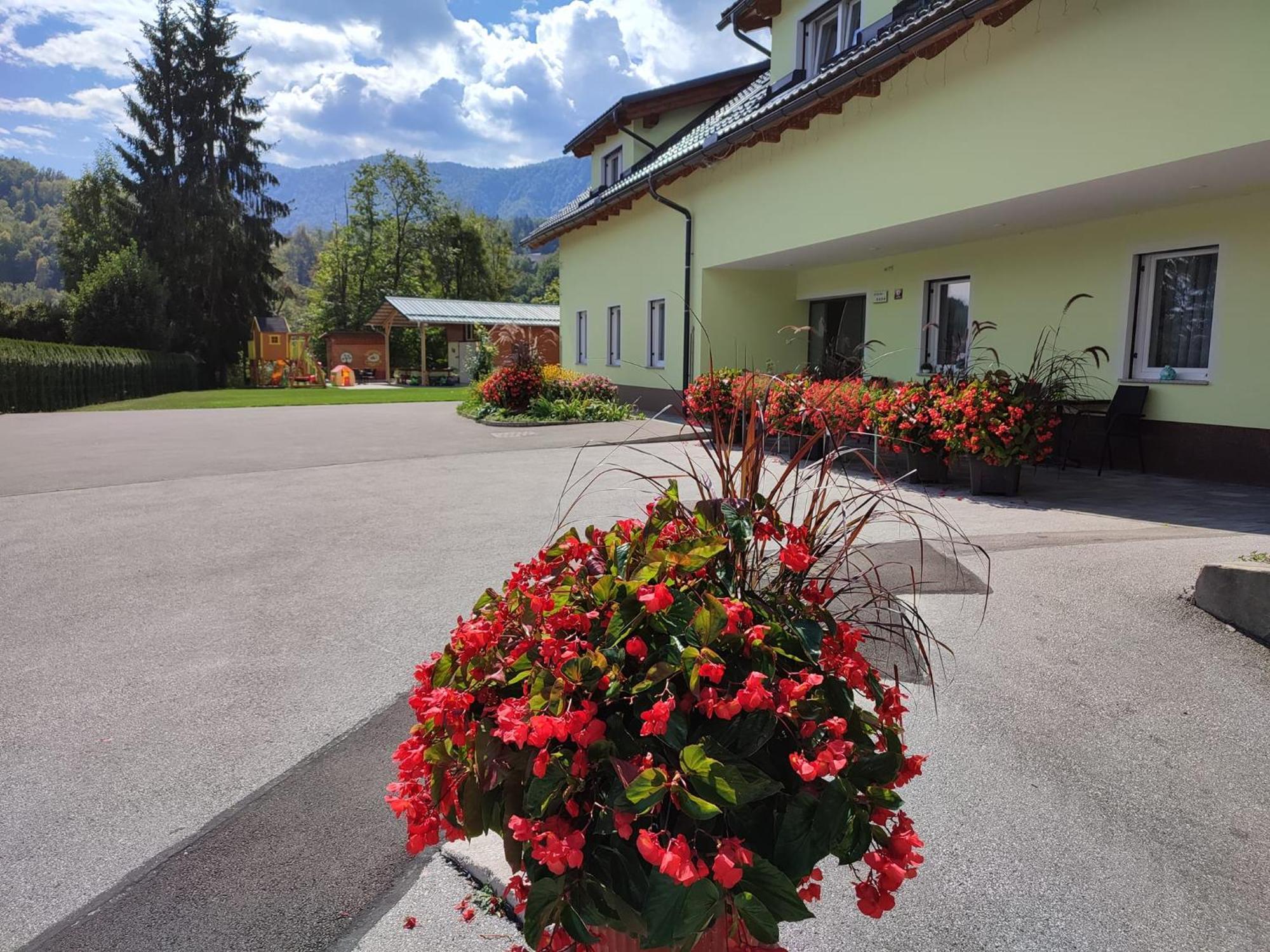 Apartments And Wellness Jelovca Radovljica Exterior photo